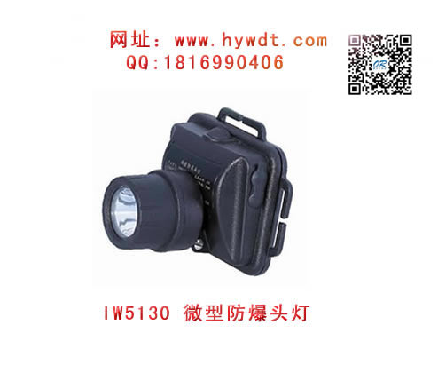 ������IW5130LT΢�ͷ���ͷ��(�ǵ����-���庣�����ĵ�����